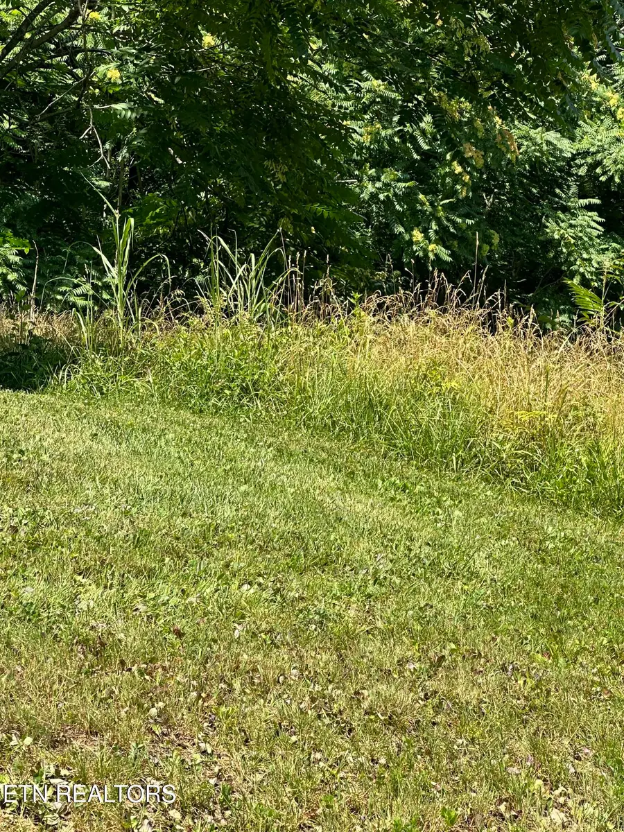 Bob Wright Lot 32 Rd, Maynardville, TN 37807 - #2