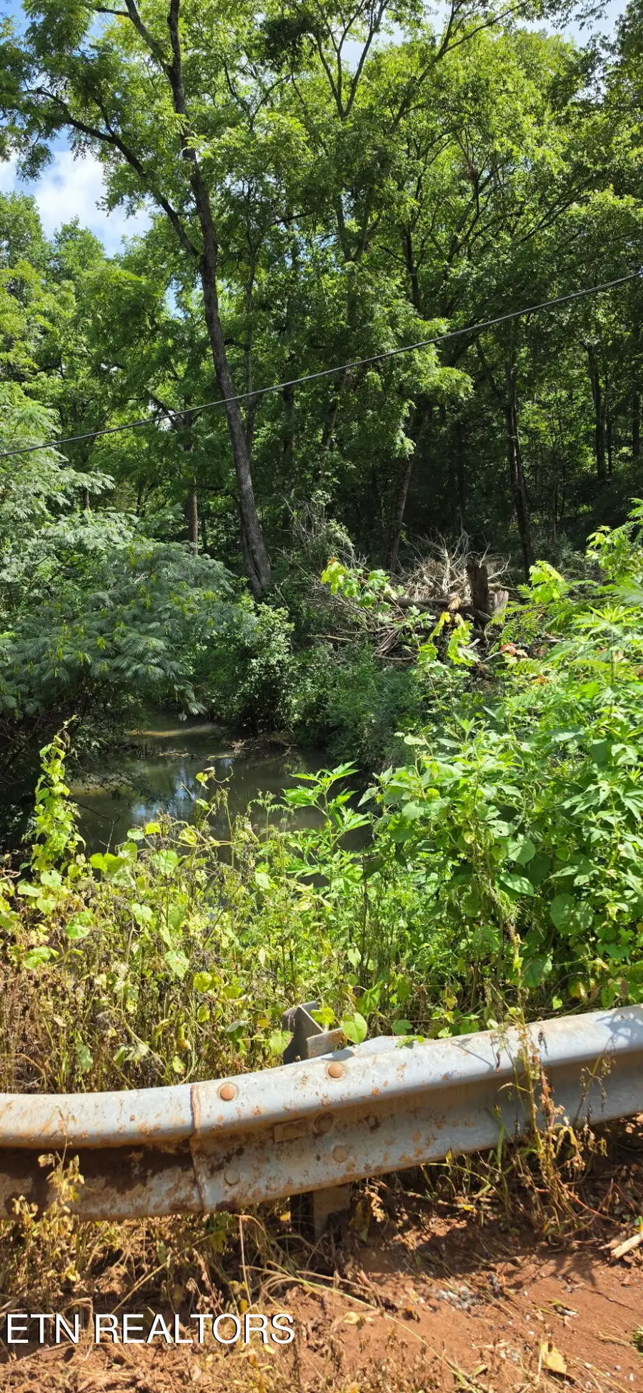County Road 267, Niota, TN 37826 - #3