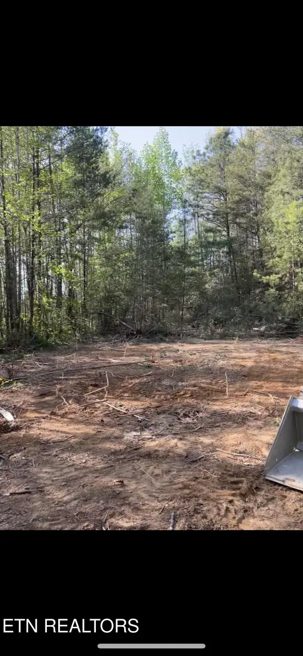 Country Cove Way, Cosby, TN 37722