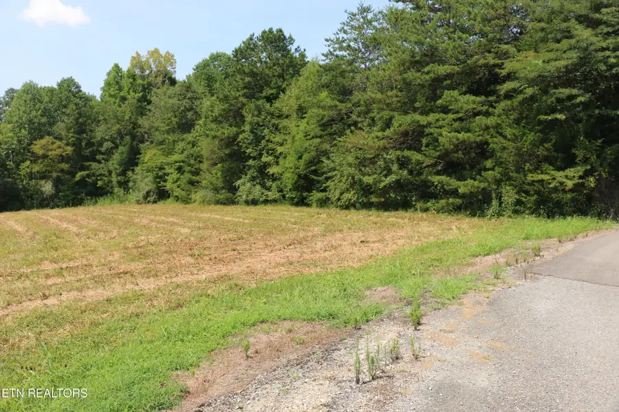 7.6 Acres Chestuee Ave, Englewood, TN 37329 - #3