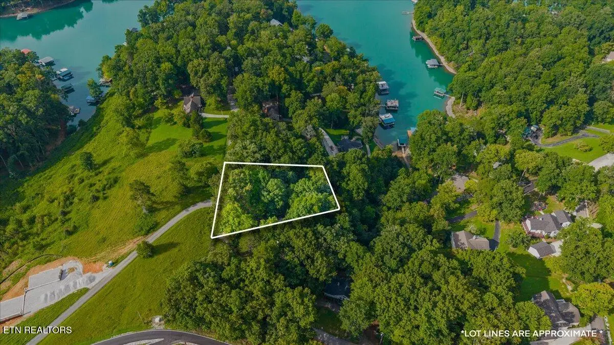 lots 9&10 Big Pine Point, Lafollette, TN 37766 - #1