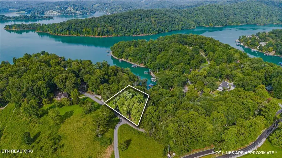 lots 9&10 Big Pine Point, Lafollette, TN 37766 - #2