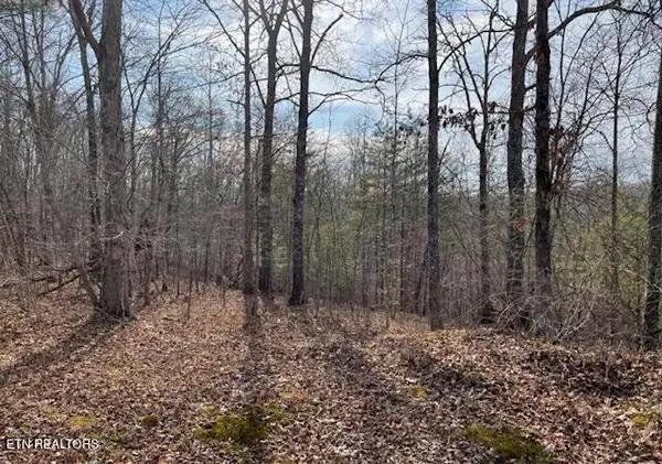67.86 Ac Junior Cox Rd, Deer Lodge, TN 37726