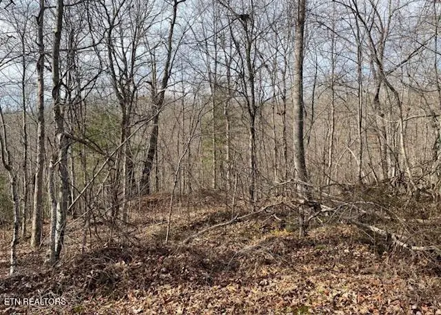67.86 Ac Junior Cox Rd, Deer Lodge, TN 37726 - #2