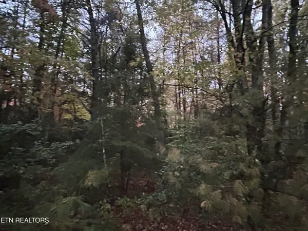 Wilder Rd, Clarkrange, TN 38553