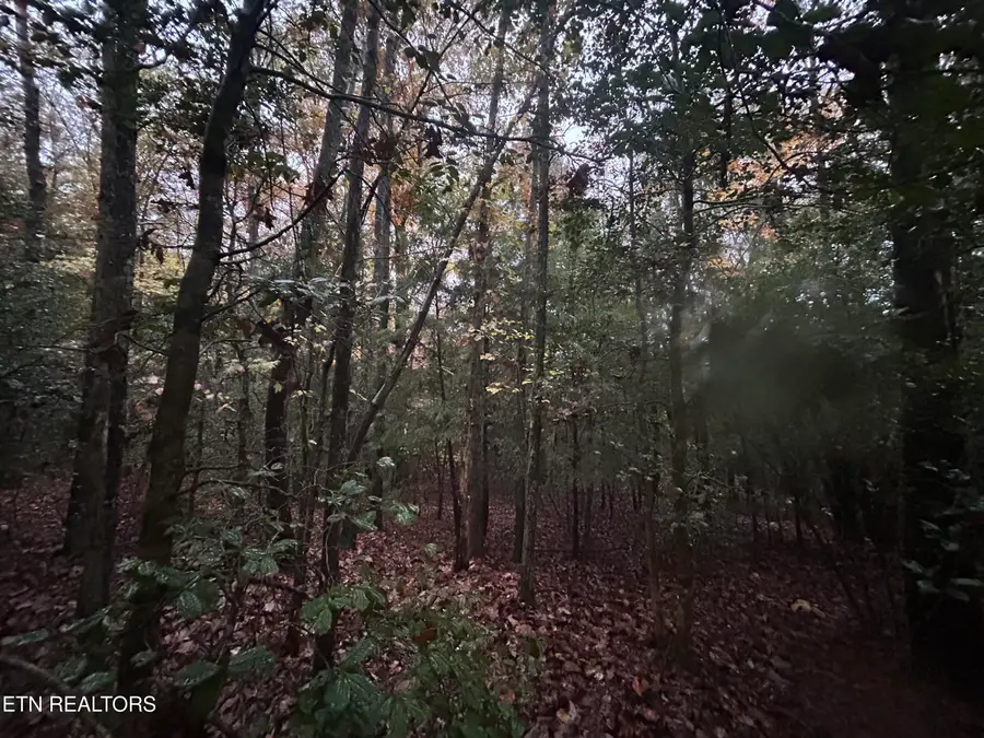 Wilder Rd, Clarkrange, TN 38553 - #2