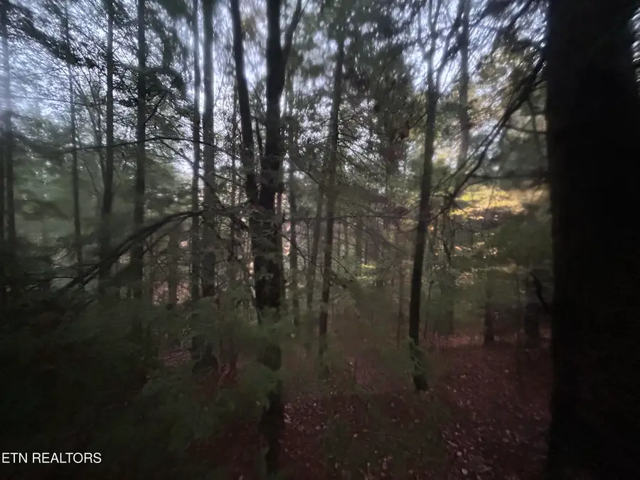 Wilder Rd, Clarkrange, TN 38553 - #3