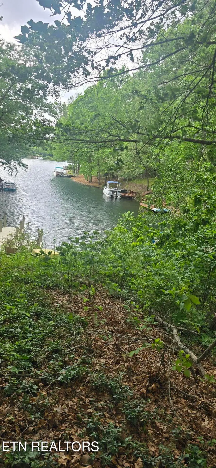 157 Overlook Cove, Crossville, TN 38558 - #3