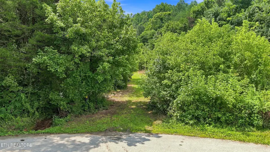 Gray Rd, Maynardville, TN 37807 - #3