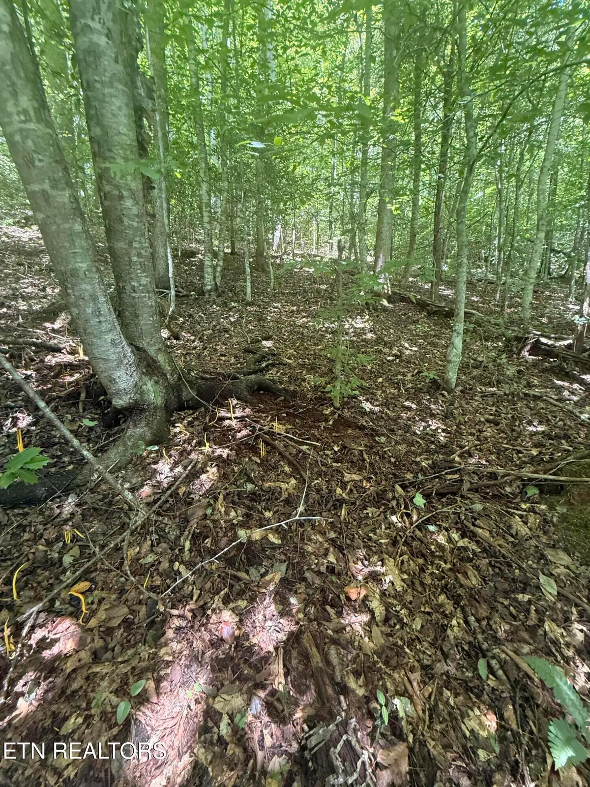 0 Suttons Rd, Sevierville, TN 37876 - #1