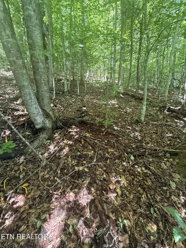 0 Suttons Rd, Sevierville, TN 37876