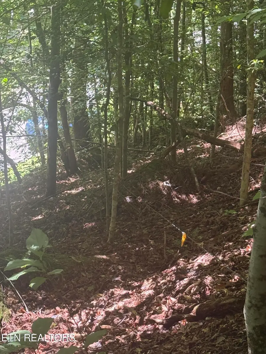 0 Suttons Rd, Sevierville, TN 37876 - #3
