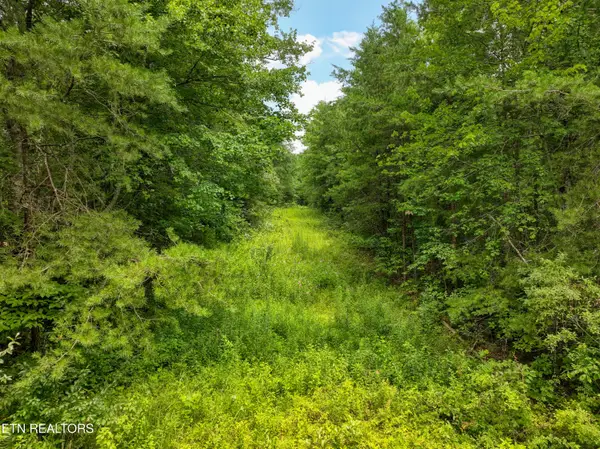 52.88 AC Nashville Hwy, Deer Lodge, TN 37726