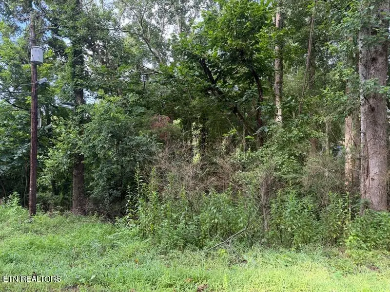 Black Jack Rd, Rockwood, TN 37854 - #1