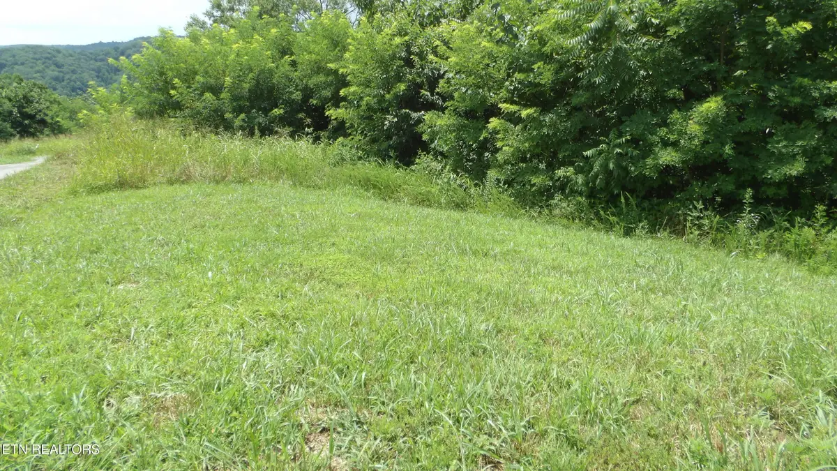 Lot 17D Crappie Lane, Hilham, TN 38568 - #1