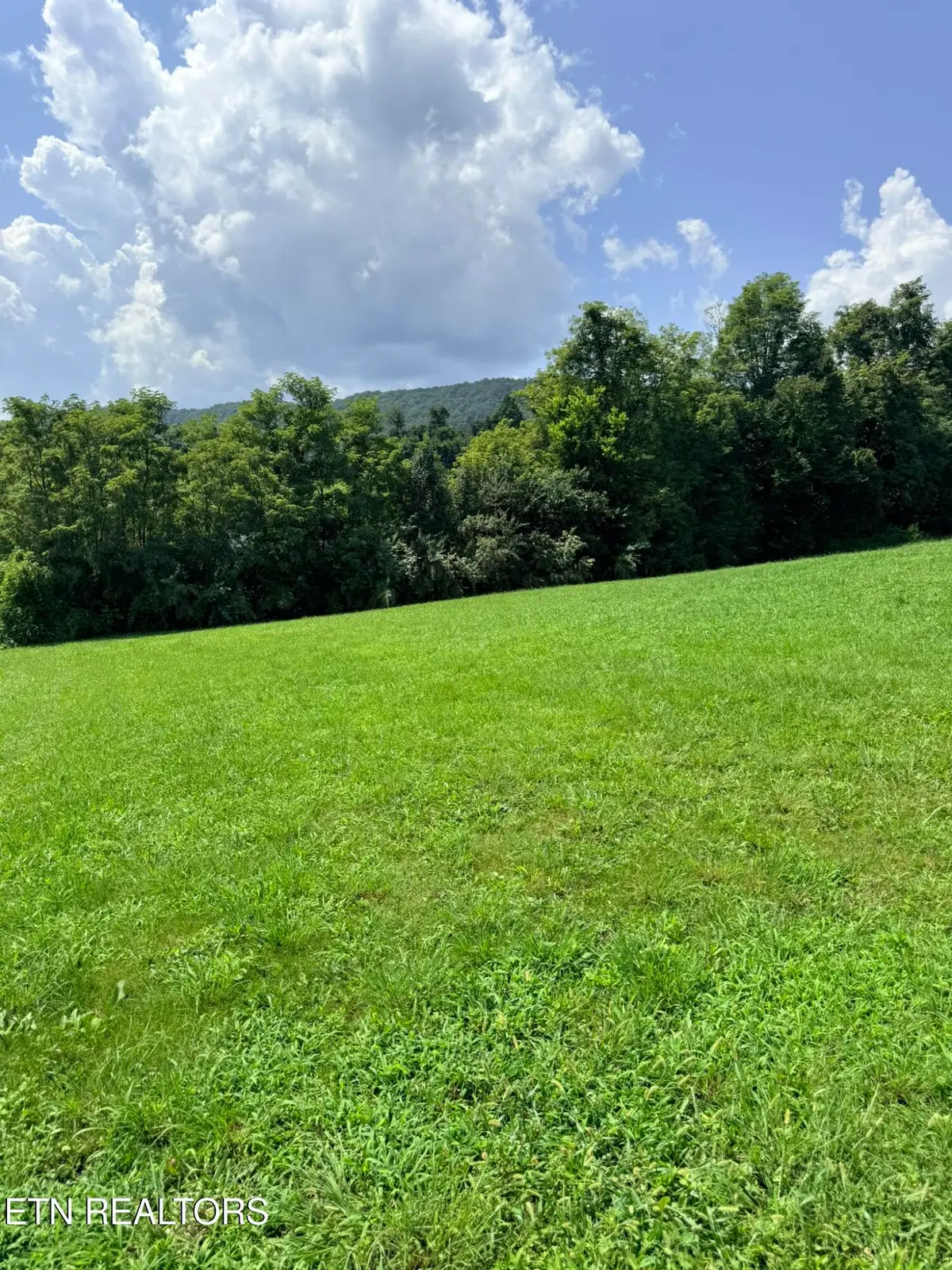 Mountain Perkins Lane, Jacksboro, TN 37757 - #1