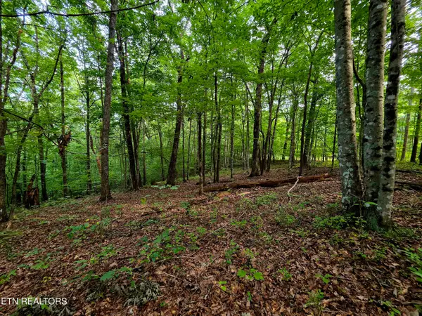 Bow Rd, Monterey, TN 38574