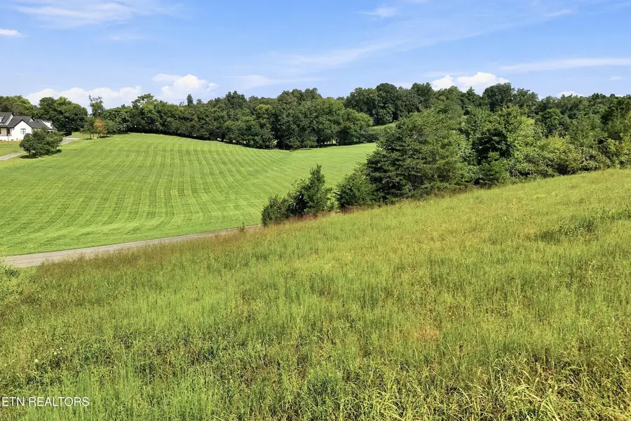 TBD Holston River Drive, Rutledge, TN 37861 - #3
