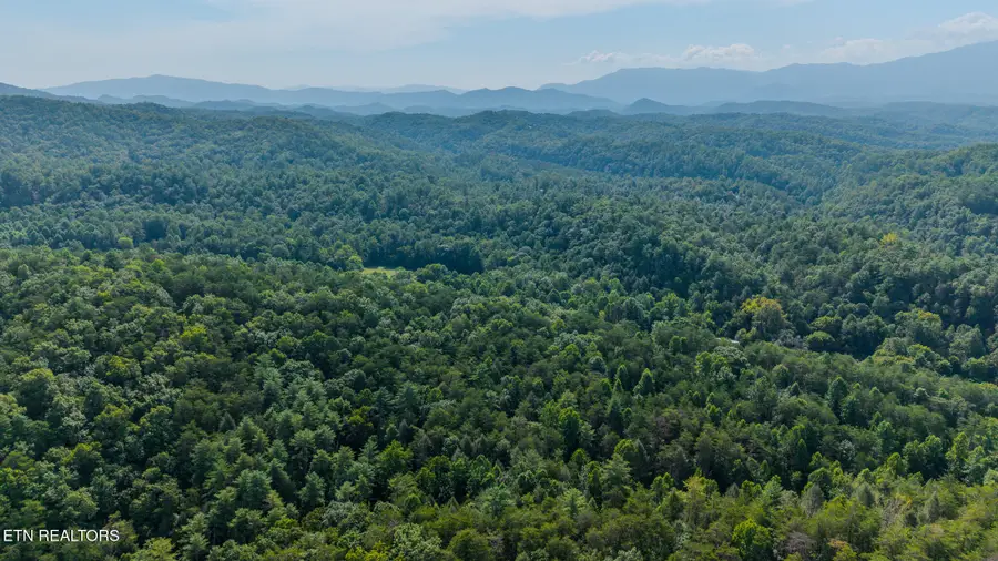 1809 Alpine Drive, Sevierville, TN 37876 - #2