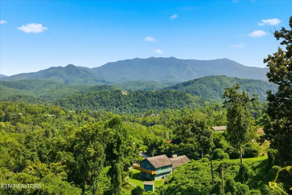 812 Beanstalk Court, Gatlinburg, TN 37738