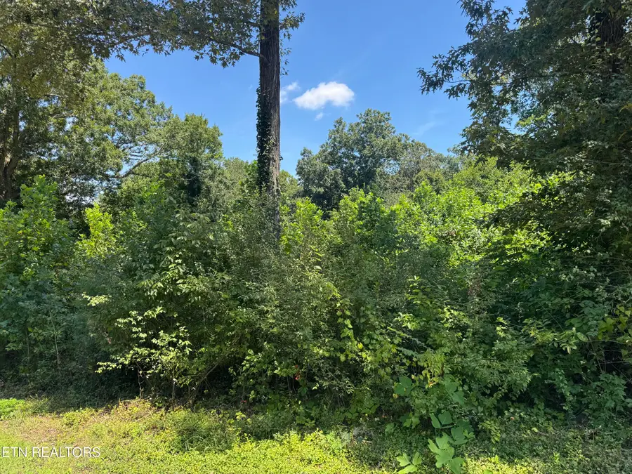 0 Brookhill Drive, Etowah, TN 37331 - #2