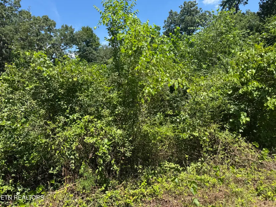 0 Brookhill Drive, Etowah, TN 37331 - #3