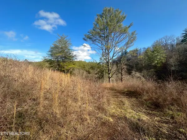 000 Leatherwood Rd, Sevierville, TN 37876