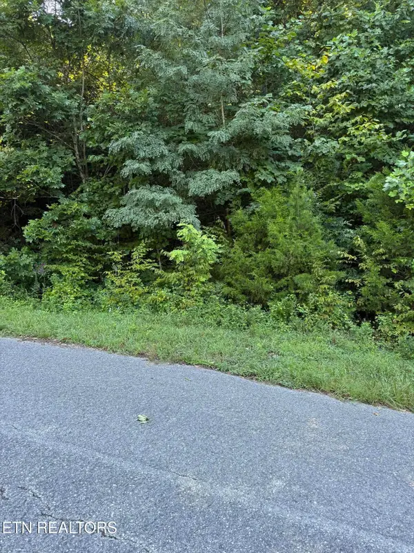 Larayne Hollow Rd, Sharps Chapel, TN 37866