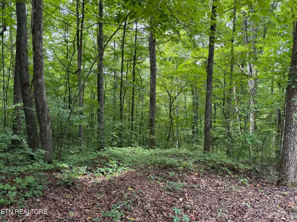 Lot 36 Bass Haven Drive, Sharps Chapel, TN 37866