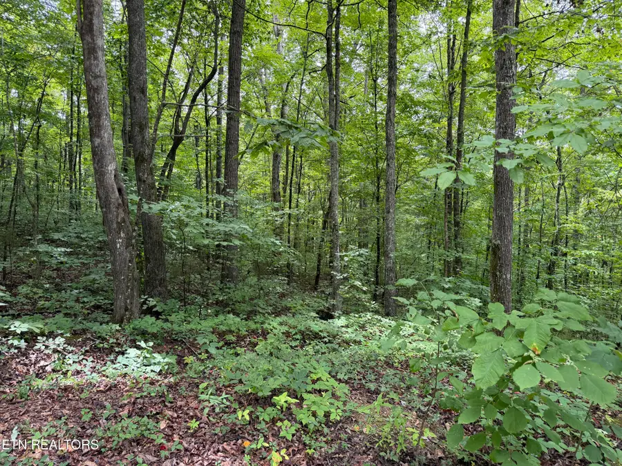 Lot 36 Bass Haven Drive, Sharps Chapel, TN 37866 - #2