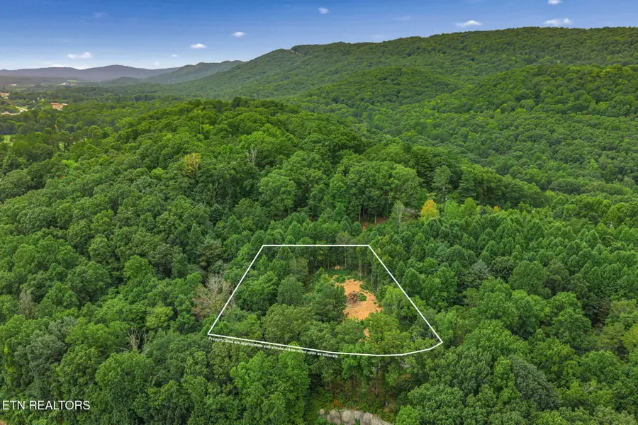 630 Circle Drive, Harriman, TN 37748 - #3