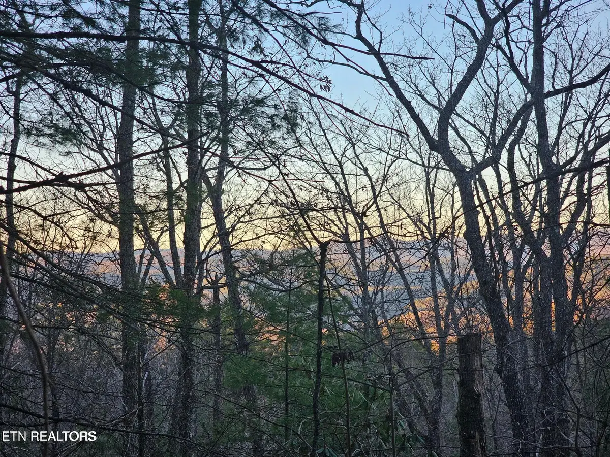 120 Greystone Way, Townsend, TN 37882 - #1