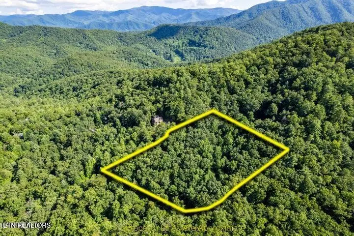 120 Greystone Way, Townsend, TN 37882 - #3