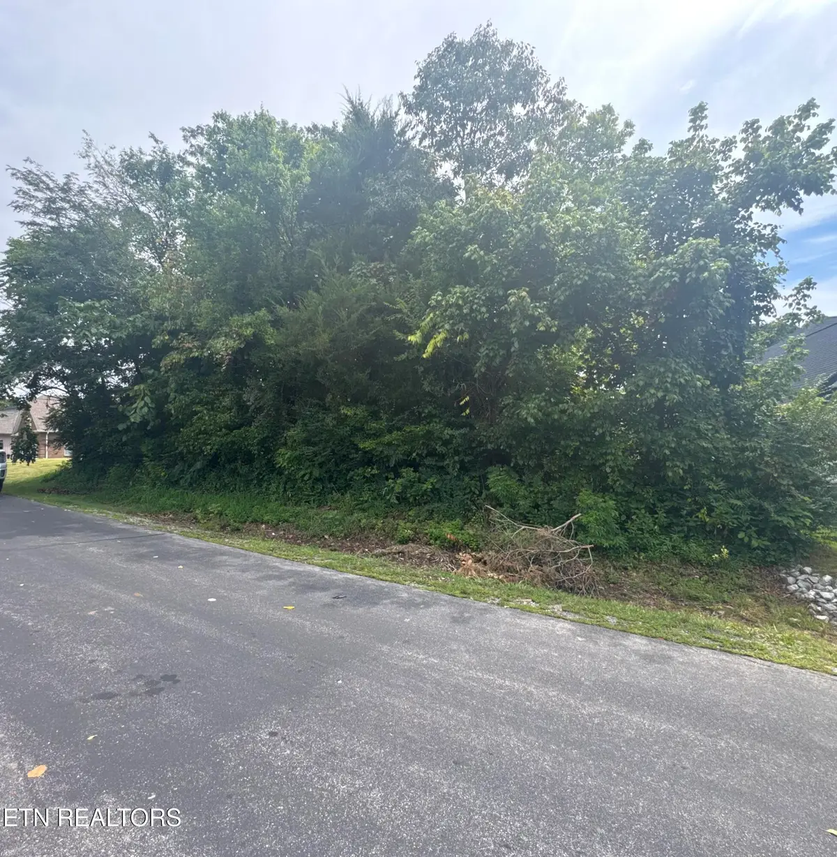 143 Daleyuhski Way, Loudon, TN 37774 - #1