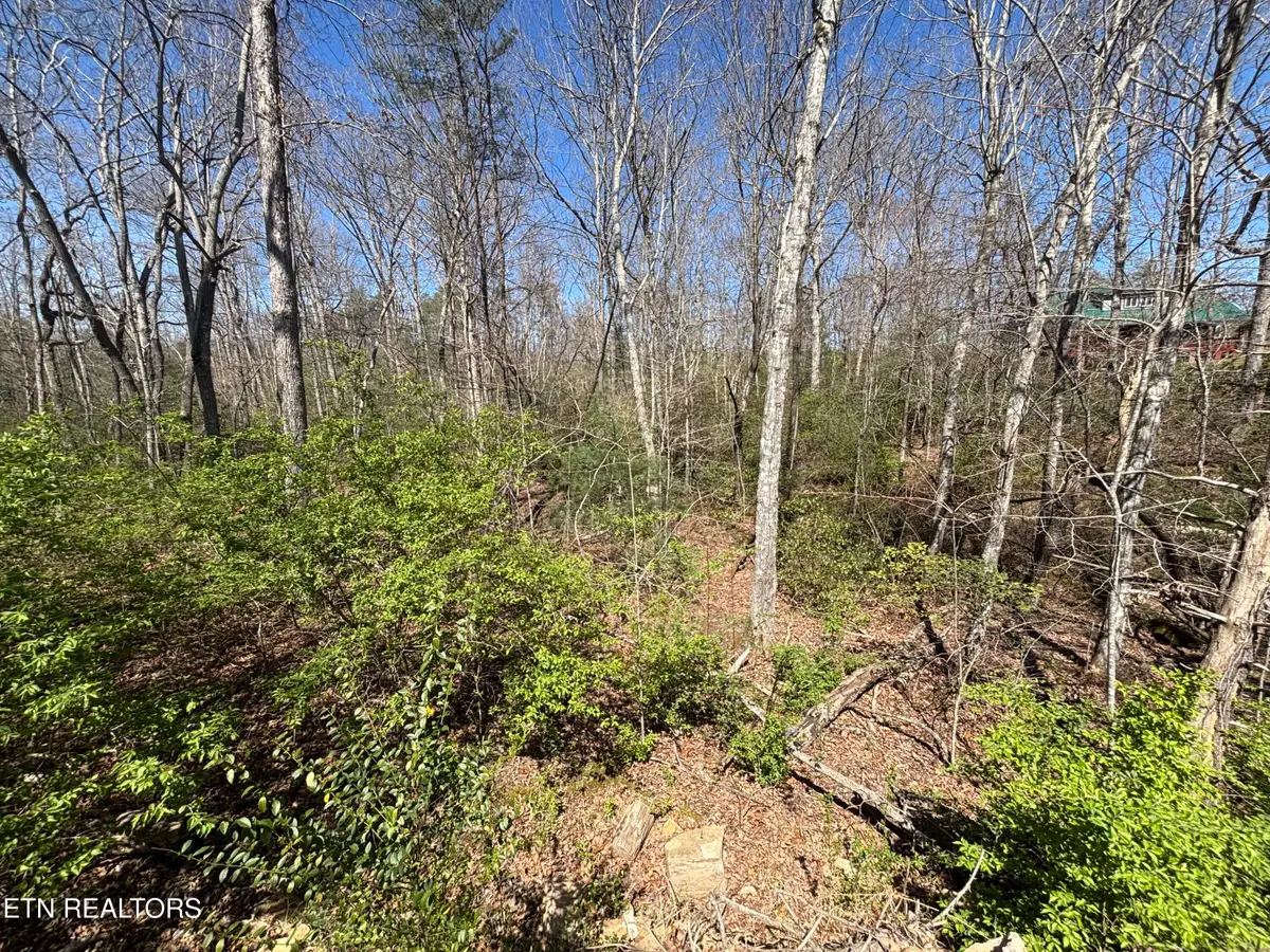 5054 Chinook Lane, Crossville, TN 38572 - #1