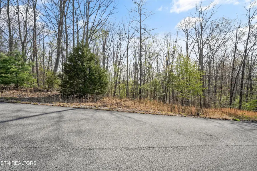 313 Green Ridge Place, Harriman, TN 37748 - #3