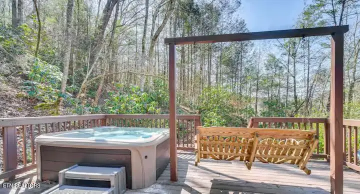 108 Province Drive, Townsend, TN 37882 - #3