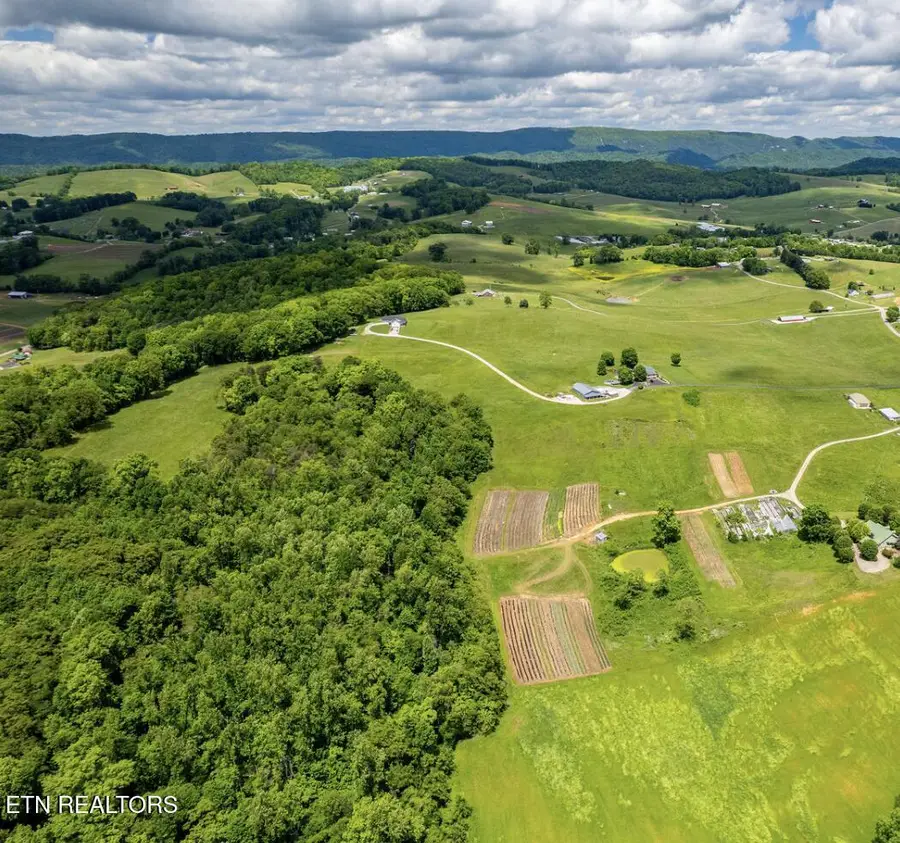 Greenlee Rd, Rutledge, TN 37861 - #2