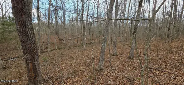14 Pond Rd, Monterey, TN 38574