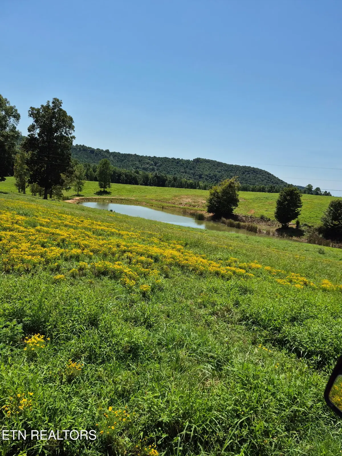 197 County Road 105, Athens, TN 37303 - #1