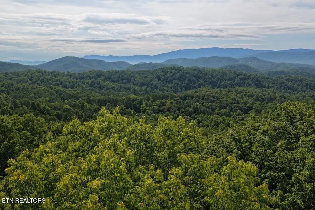 Shady Oaks Way, Sevierville, TN 37876 - #1