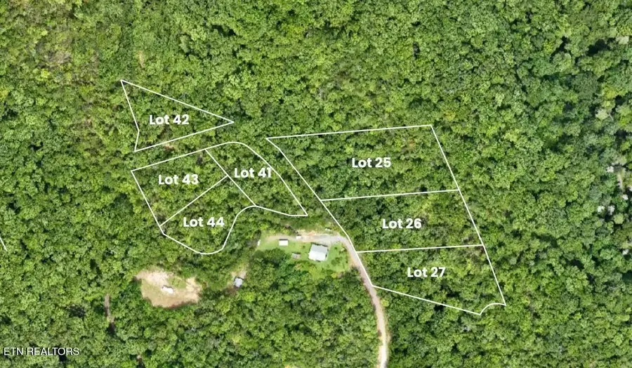 Shady Oaks Way, Sevierville, TN 37876 - #2