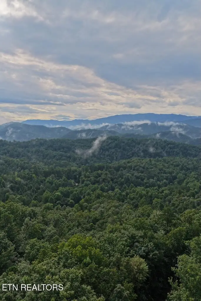 Shady Oaks Way, Sevierville, TN 37876 - #3
