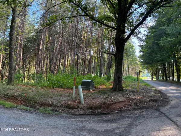 100 County Road 262, Niota, TN 37826