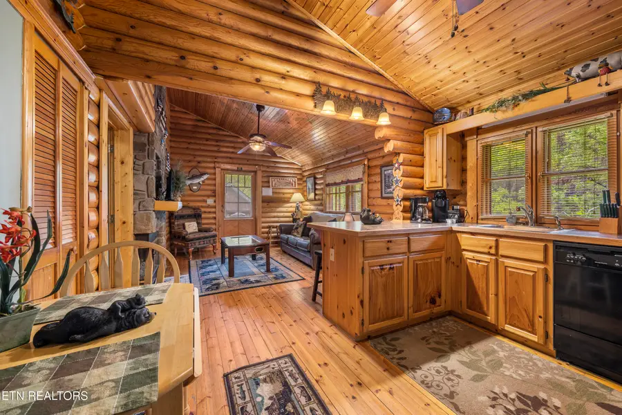 165 N Smoky Mountain Way, Sevierville, TN 37876 - #2