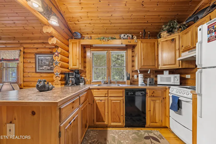 165 N Smoky Mountain Way, Sevierville, TN 37876 - #3