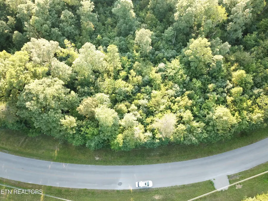 7 Cumberland Lakes Drive, Monterey, TN 38574 - #3
