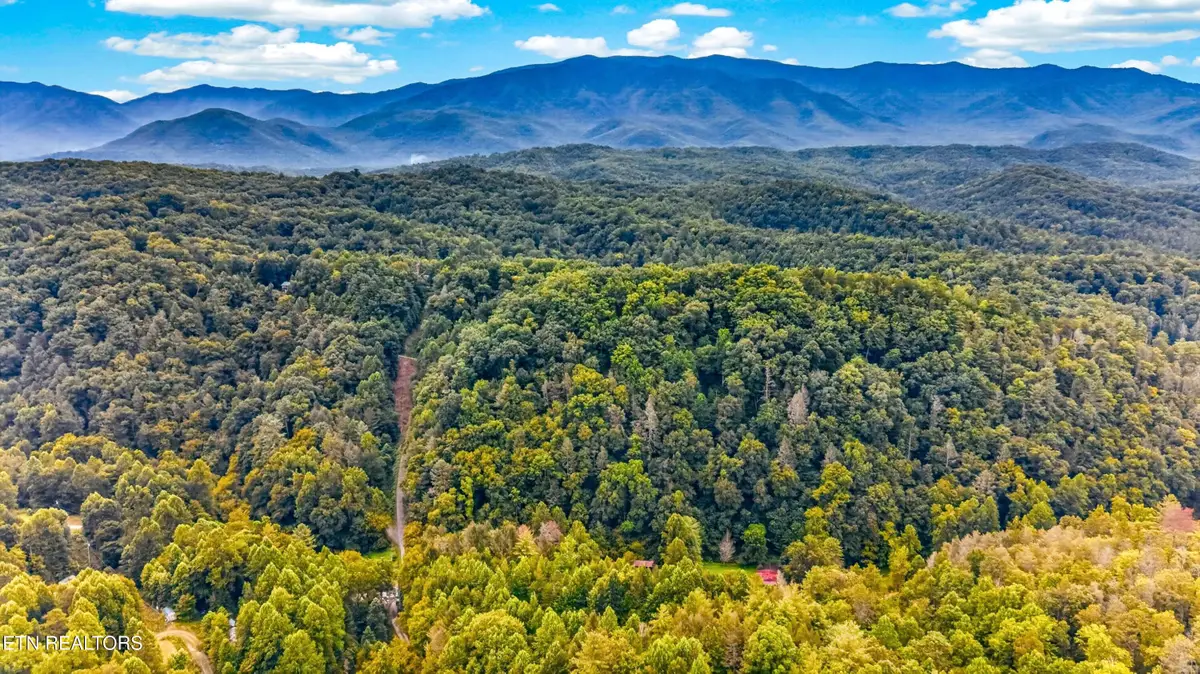 Chavis Rd, Cosby, TN 37722 - #1