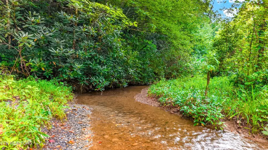 Chavis Rd, Cosby, TN 37722 - #2