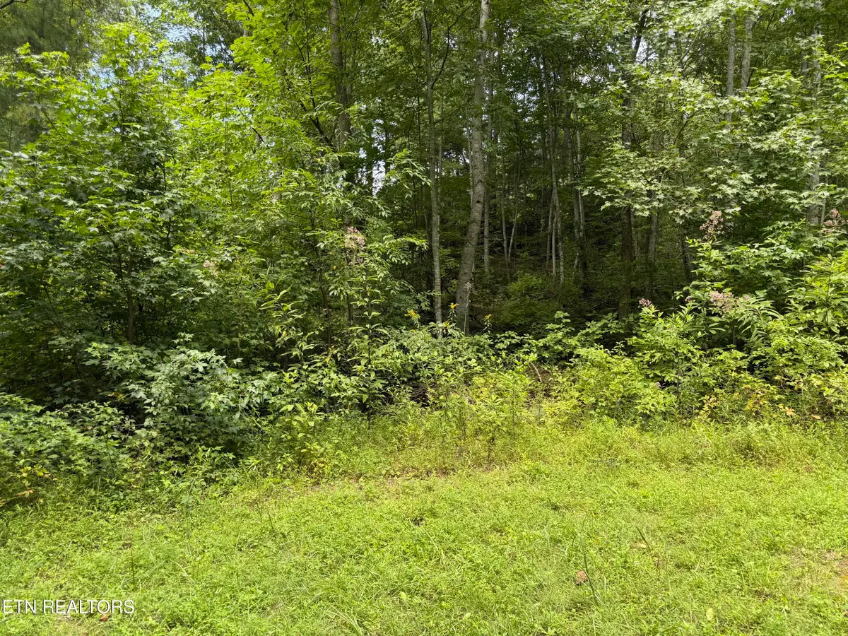 Coy Rhea Way #Lot 3 D, Sevierville, TN 37876 - #1